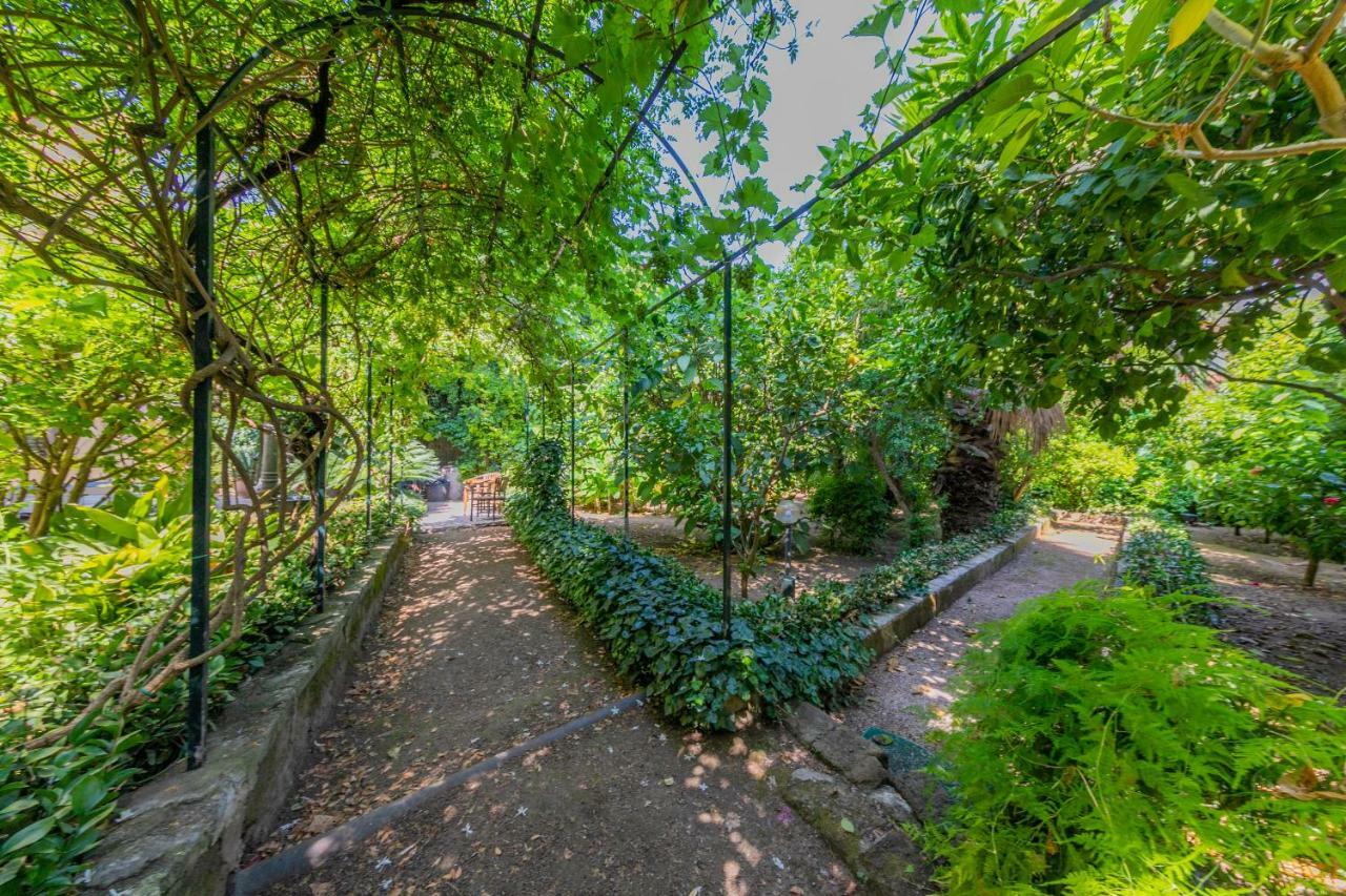 Villa Mezzarancia Palermo Eksteriør billede