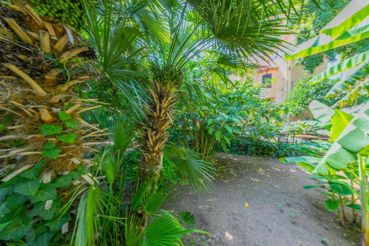 Villa Mezzarancia Palermo Eksteriør billede